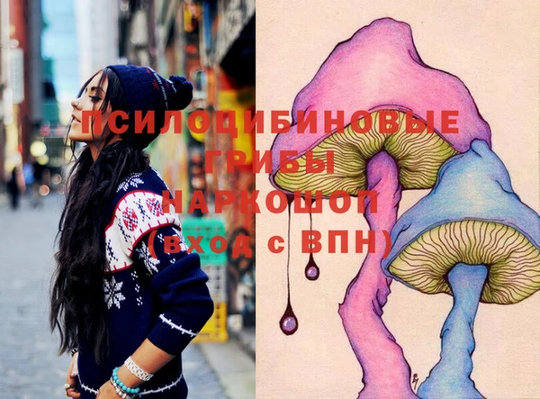 прущий лед Арсеньев
