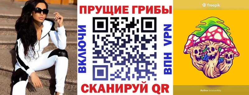 MEGA как войти  Тавда  Галлюциногенные грибы прущие грибы 