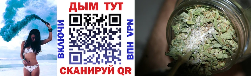 закладка  Тавда  Шишки марихуана Bruce Banner 